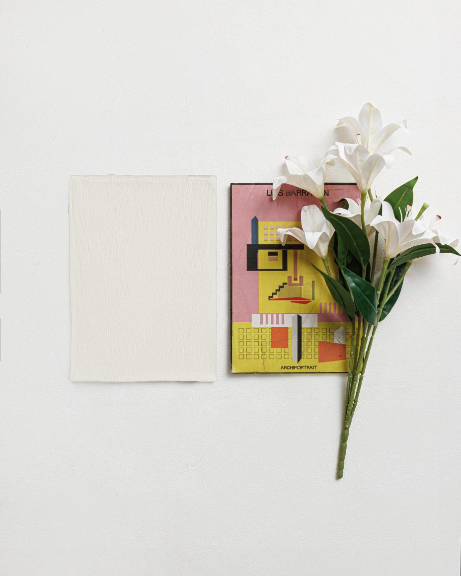 Plain Kashmiri Scarf