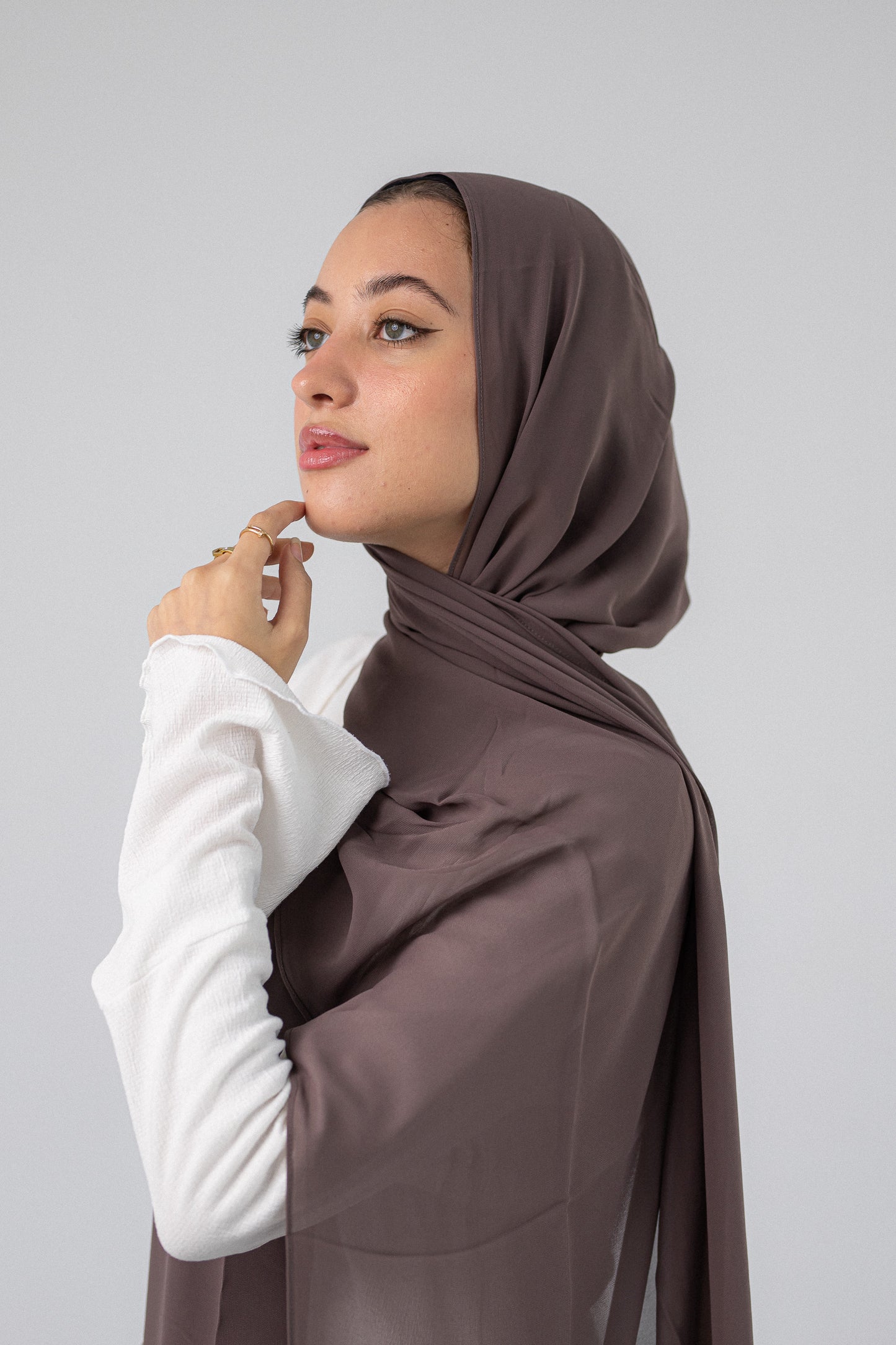 Plain Chiffon A4 Taupe