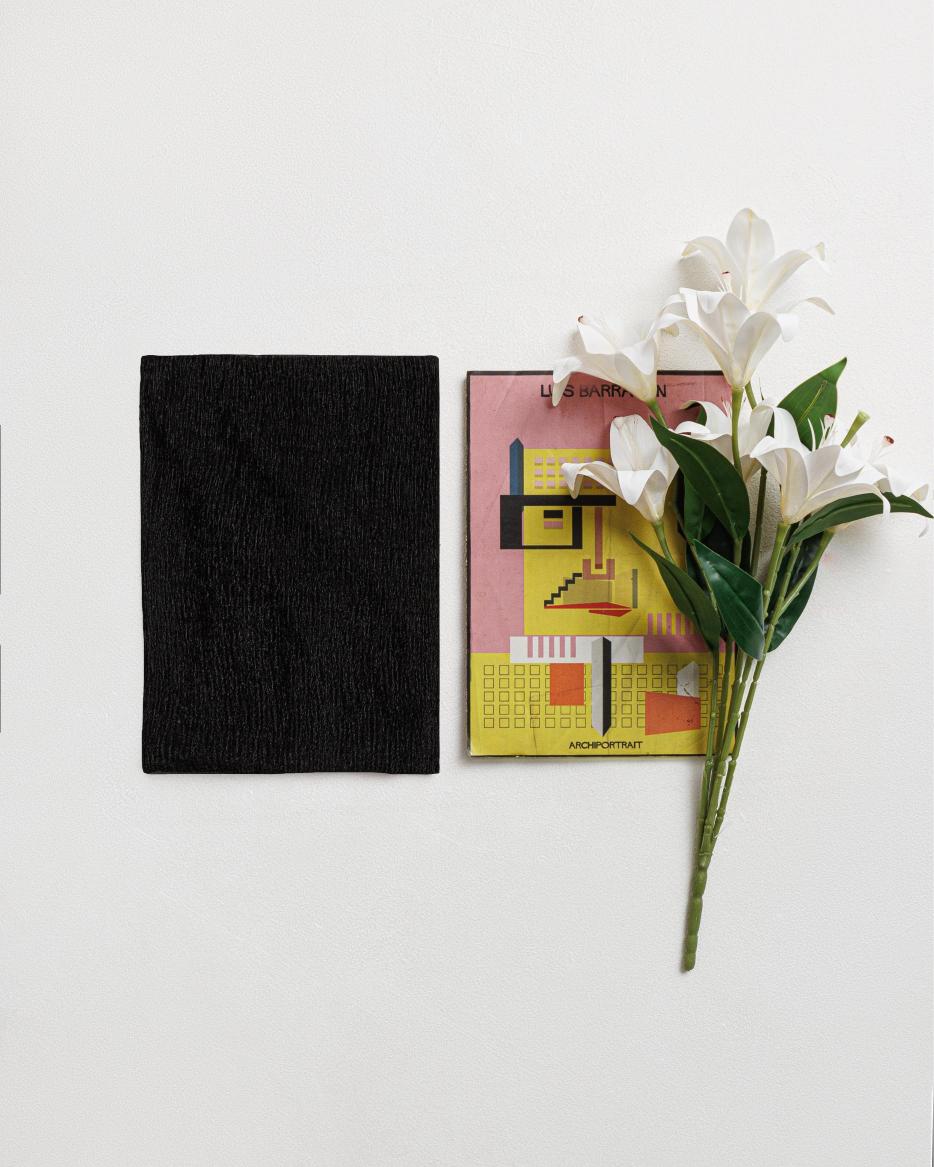 Plain Kashmiri Scarf