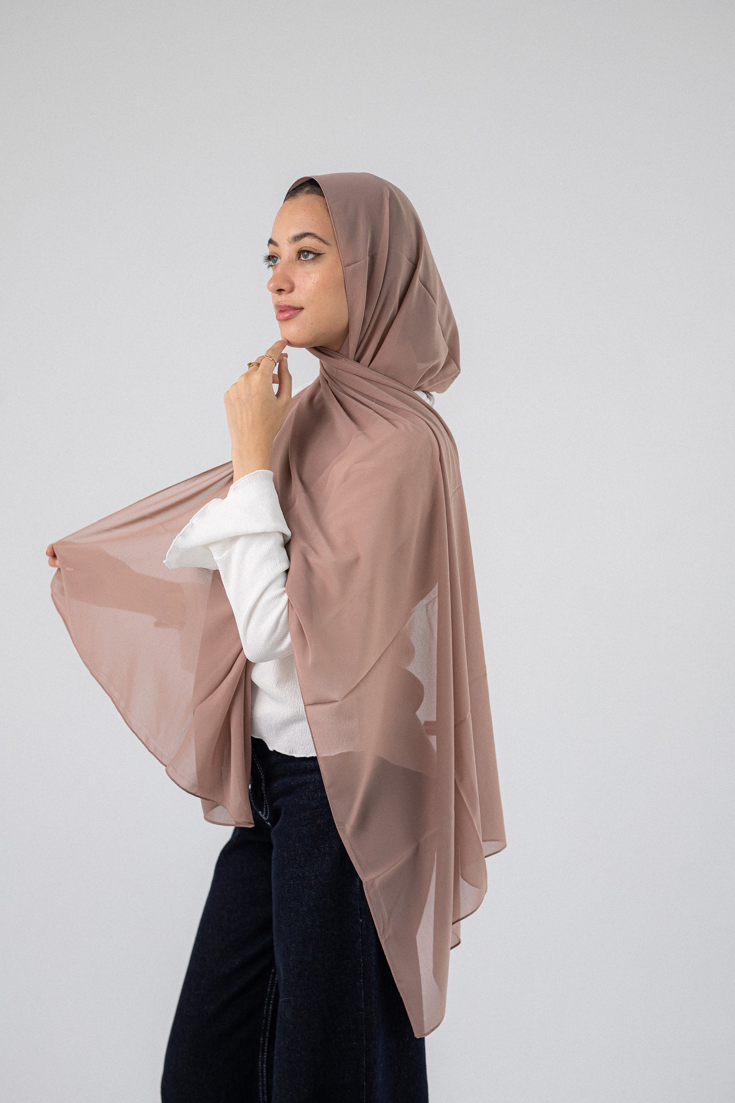 Plain Chiffon Rose Taupe